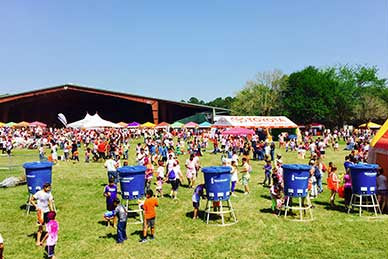 Halloween Hydration | WaterMonster